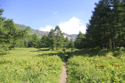 湯の平の平坦な道。