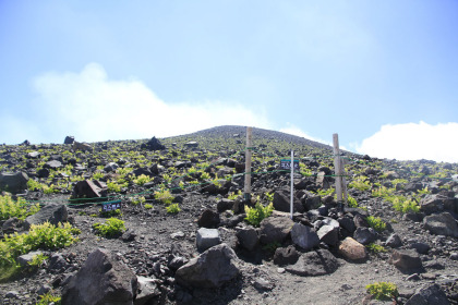 登山道はここから右に曲がります。直進すると浅間山の火口へ行ってしまうからです。