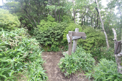 黒桧山から大沼へ下る道との分岐。