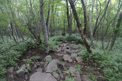 岩場で道の形をしていない区間がほとんどです。