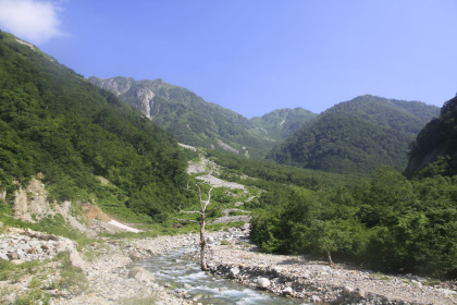 沢。ここから登山道になります。