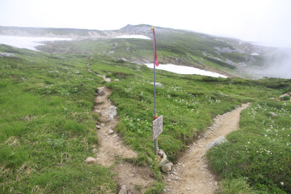 双六岳の登山道には急峻な箇所に雪渓が残っているので春道を通りました。