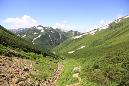 小さな沢の脇を登山道が通っています。