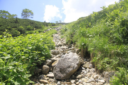 三俣山荘へ登る沢沿いの急峻な登り道。