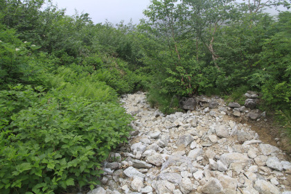 歩いていて膝ががくがくしてきました。青森県の津軽富士の百沢登山道には及びませんが近いものがあります。