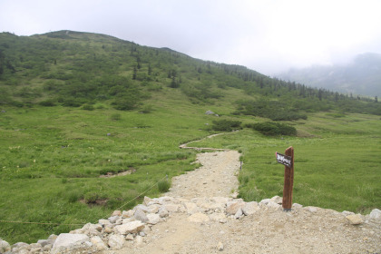 ここからが登山道。