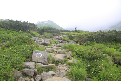 岩場と樹林の道がしばらく続きます。