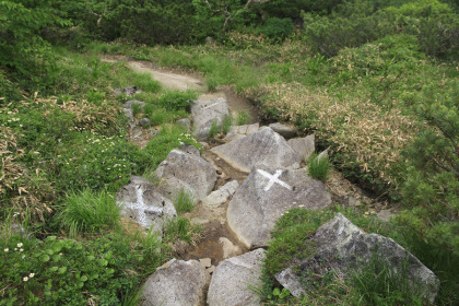 細流が多く、踏み跡と沢の区別がつきにくいので、霧が発生した時などは道を簡単に見失いそうです。あちこちにマーキングがしてあります。