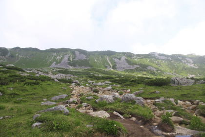 生まれて初めて見るカールに圧倒されました。