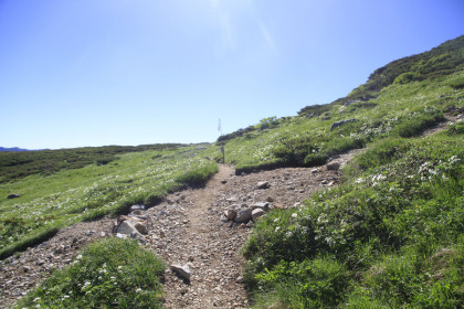 双六岳の登山道と中道の合流点。