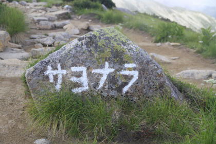キャンプ指定地の端に書かれたユニークな文字。普通は「ご無事を」とか「ありがとう」とかの文字が書かれているのですが、「サヨナラ」とは珍しいです。もう二度と会うことはないだろうという意味も含まれていそうに