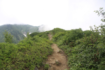 小朝日岳から大朝日岳の登りまでの稜線歩きは緩やかな勾配が続きます。