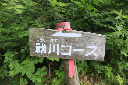 祓川コースの標識。