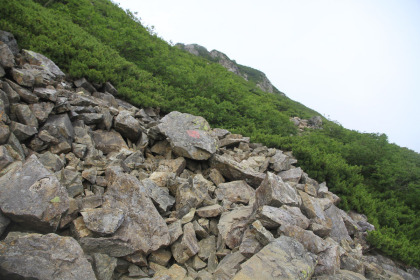 岩をよじ登ります。