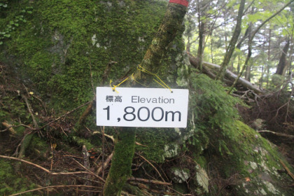 標高１８００ｍの標識。これを過ぎると登山道の斜度がきつくなります。