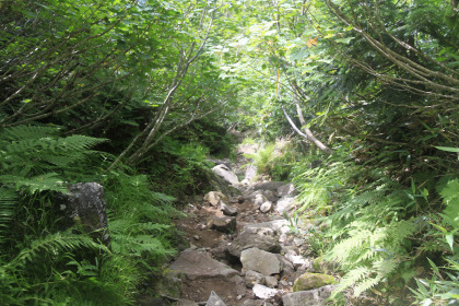 見張新道はかなりの急勾配で岩場が連続する体力を消耗する登山道です。
