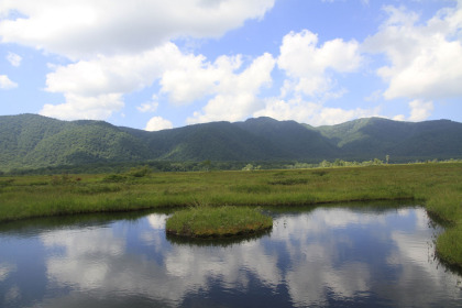 池塘があちこちに点在していますが、北海道の雨竜湿原に比べると貧弱です。