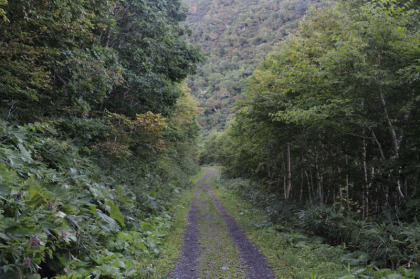 登山道から１度、林道へ降ります。ここは車は通行止めなので人しか歩きません。