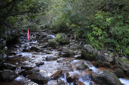 長雨の後で増水しているはずですが、それほどの水量には見えませんでした。登山靴で歩けます。