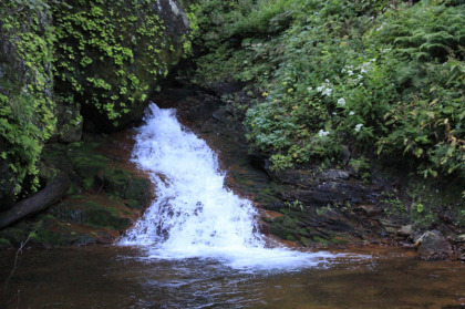 水蓮の滝。最初に現れる滝です。