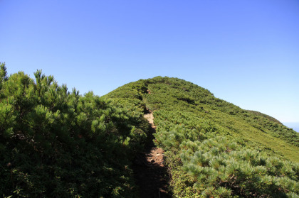 熊見峠へと登ります。