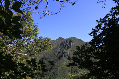 尾根筋の道だけに展望は良く、小枝の間から斜里岳の頂がしばしば見られます。