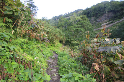 雨竜沼湿原へ上る道。