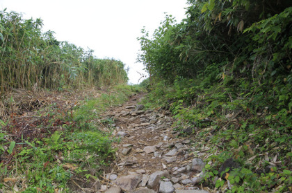 雨竜沼湿原へ小さな峠を越えます。やや急峻な坂です。