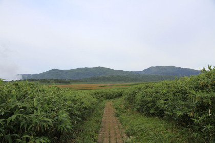 雨竜沼湿原が見えてきました。