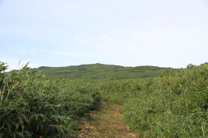 南暑寒岳へと上る道。正面に南暑寒岳が見えます。