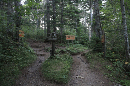 利尻山の麓を歩くハイキングコースと登山道が交わっています。