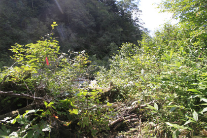 額平川を対岸に渡ります。上流から下流を見て右岸に踏み跡がついています。