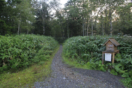 トムラウシ山の入山口。