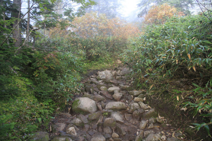 きつい勾配の石の登り道。