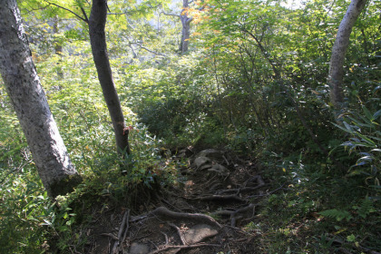 コマドリ沢へ下る急峻な坂道。