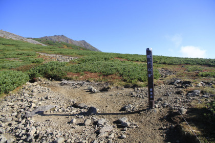 前トム平まで登ると前方にトムラウシ山の頂が見えてきます。