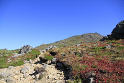 トムラウシ山の山頂直下の南沼へ登ります。