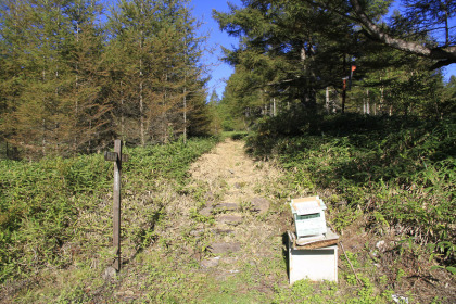 野辺山登山口の様子。