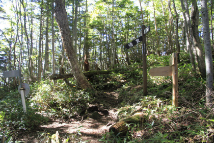 小天狗の分岐。清里口と野辺山口の登山道がここで合流します。清里口の方が野辺山口の約半分ほどの所要時間の様です。