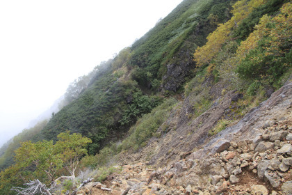 横岳とのコルと赤岳直下の分岐との間の道。勾配は緩やかです。