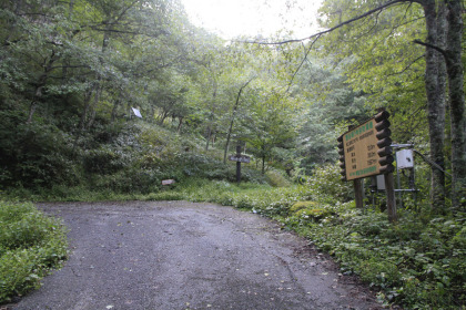 林道を離れてここから登山道となります。