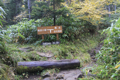 旧中尾峠と新中尾峠に至る道の分岐。