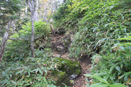 西穂山荘への道。土の路面です。