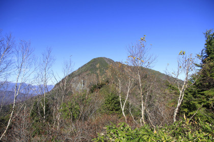 落ち葉の落ちた木立の間から高妻山が見えます。