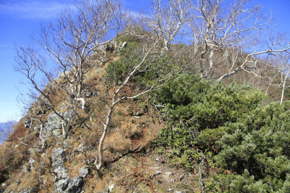 高妻山から乙妻山へ至るには、岩の崖を下ります。