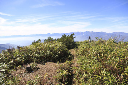 乙妻山の山頂。山頂を示す三角点がありますが、乙妻山の名前が書かれた標識は立っていません。