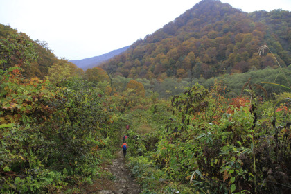 登山口を入ると、すぐに下ります。