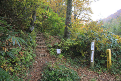 ここから尾根にとりつく道に代わり、勾配がきつくなります。