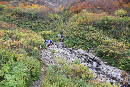 荒菅沢。秋でも豊富な水量があります。