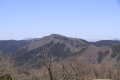 春の高尾山-生藤山-浅間峠登山